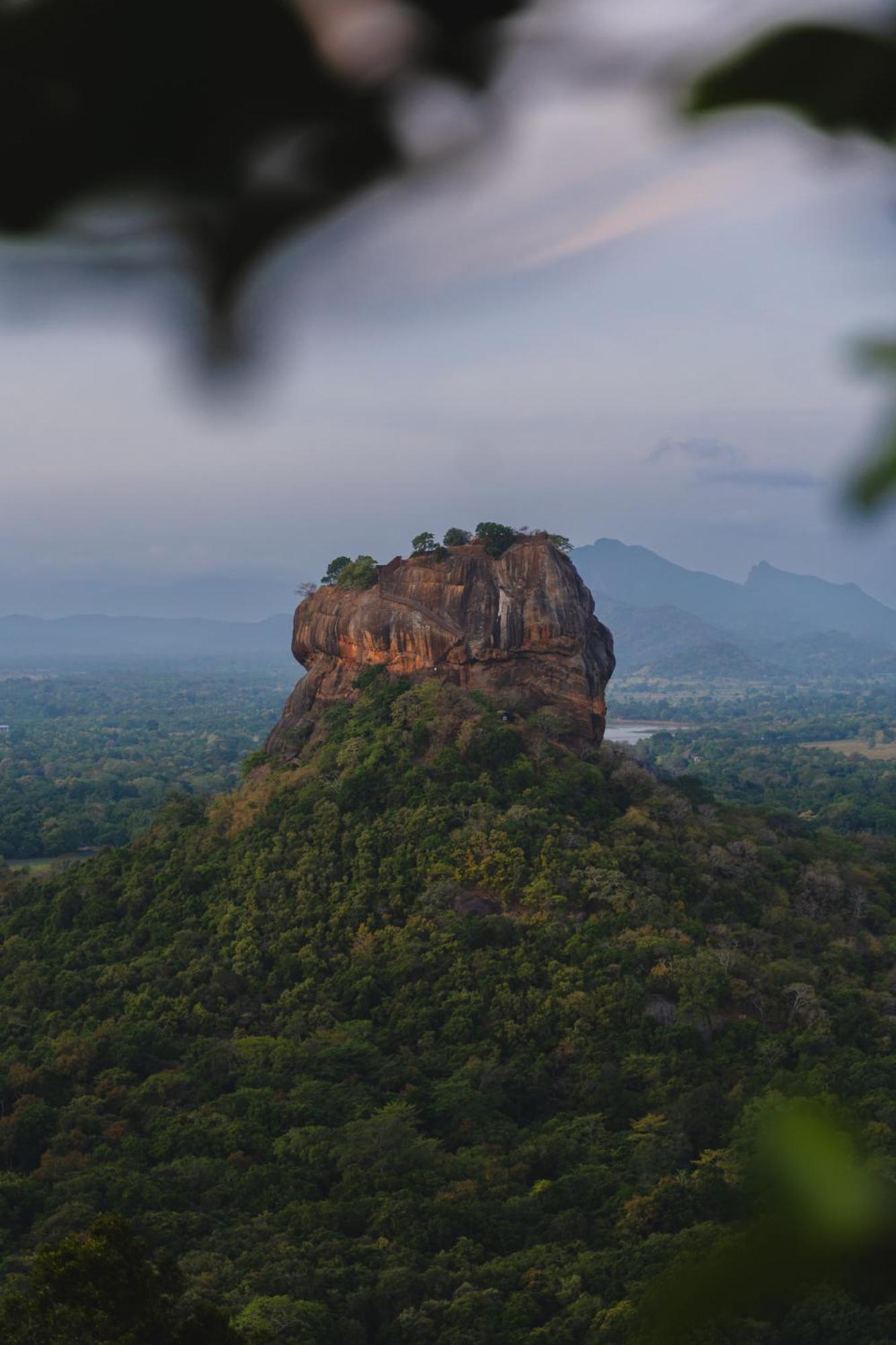 Elephant Trio Sigiriya Exterior foto